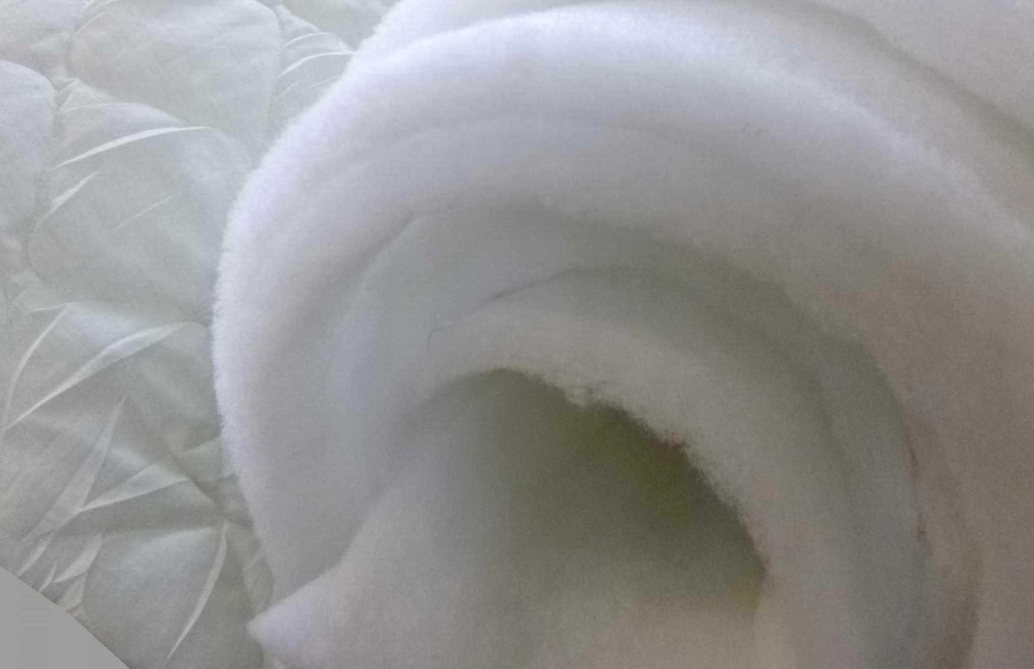 الیاف روتختی: